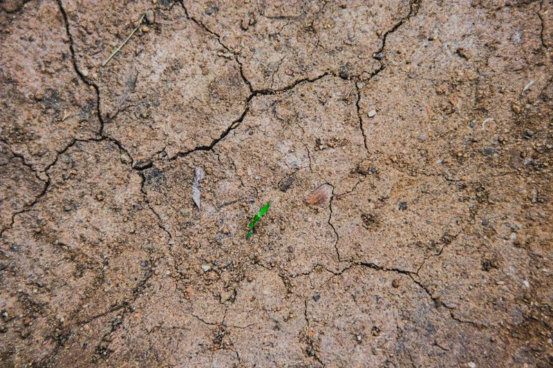 Climate Resilience Initiative