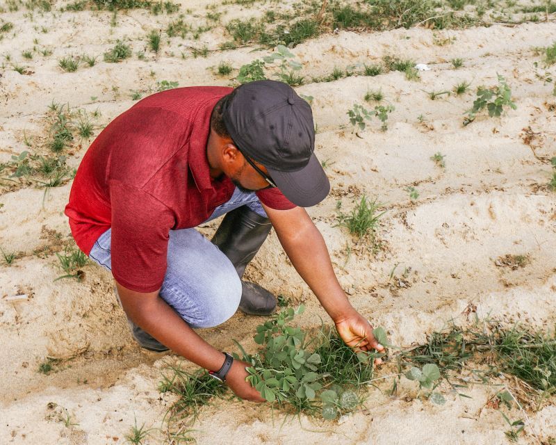 Sustainable Agriculture